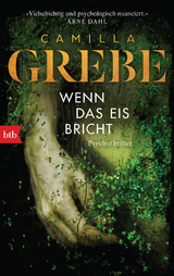Wenn das Eis bricht - Camilla Grebe