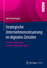 Strategische Unternehmenssteuerung im digitalen Zeitalter - Axel Steuernagel