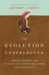 The Evolution Underground - Martin, Anthony J.