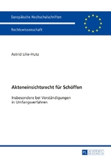 Akteneinsichtsrecht f&uuml;r Sch&ouml;ffen - Astrid Lilie-Hutz