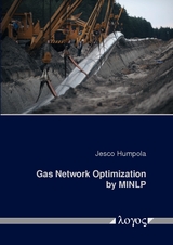 Gas Network Optimization by MINLP - Jesco Humpola