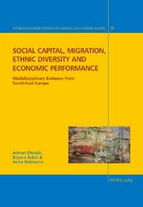 Social capital, migration, ethnic diversity and economic performance - ADNAN EFENDIC, Bojana Babic, Anna Rebmann