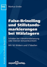 False-Brinelling und Stillstandsmarkierungen bei Wälzlagern - Markus Grebe