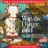 Wie die Dinge sind - Nydahl, Lama Ole; Wostry, Axel