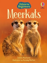Meerkats - James Maclaine