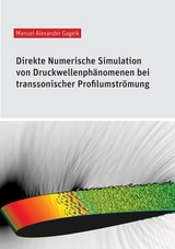 Direkte Numerische Simulation von Druckwellenphänomenen bei transsonischer Profilumströmung - Manuel Alexander Gageik