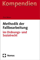 Methodik der Fallbearbeitung - Dirk Weber