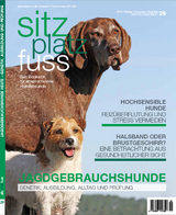 SitzPlatzFuss, Ausgabe 29 - 