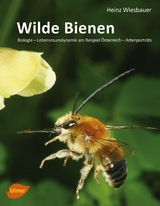 Wilde Bienen - Heinz Wiesbauer