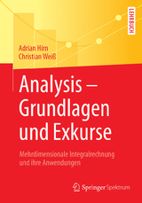 Analysis &ndash; Grundlagen und Exkurse - Adrian Hirn, Christian Wei&szlig;
