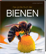 Das große Buch der Bienen - Gay, Jutta; Menkhoff, Inga