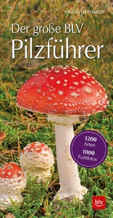 Der große BLV Pilzführer für unterwegs - Gerhardt, Ewald