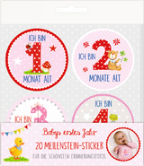 Meilenstein-Sticker - BabyGl&uuml;ck - Babys erstes Jahr (rosa)