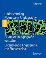 Understanding Fluorescein Angiography, Fluoreszeinangiografie verstehen, Entendiendo Angiograf&iacute;a con Fluoresce&iacute;na - Manfred Spitznas