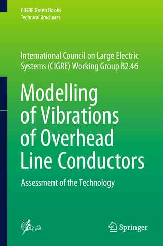 Modelling of Vibrations of Overhead Line Conductors
