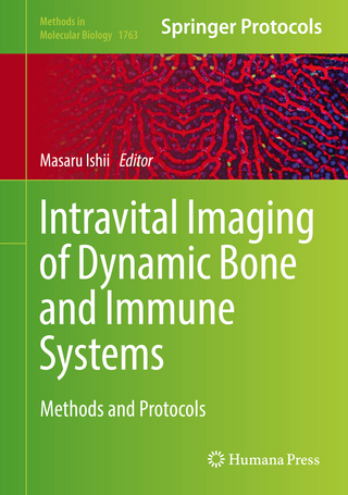 Intravital Imaging of Dynamic Bone and Immune Systems