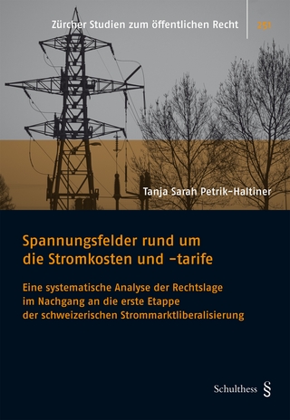 Spannungsfelder rund um die Stromkosten und -tarife