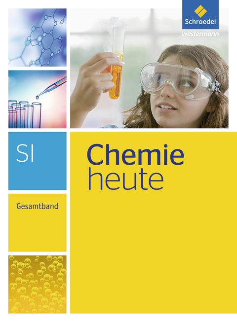 Chemie heute SI - Ausgabe 2013 - 