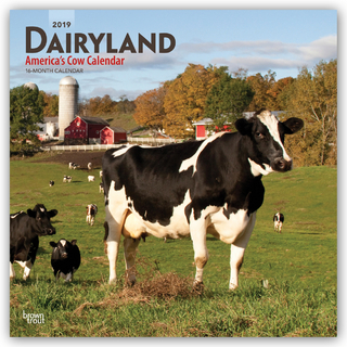Dairyland - America's Cow Calendar - Molkereiland - Amerikas Kuh-Kalender 2019 - 18-Monatskalender