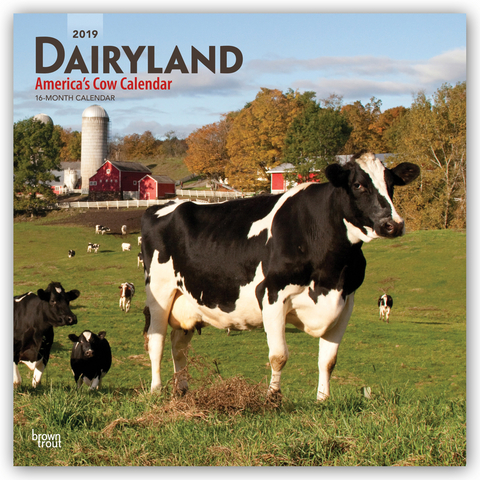 Dairyland - America's Cow Calendar - Molkereiland - Amerikas Kuh-Kalender 2019 - 18-Monatskalender