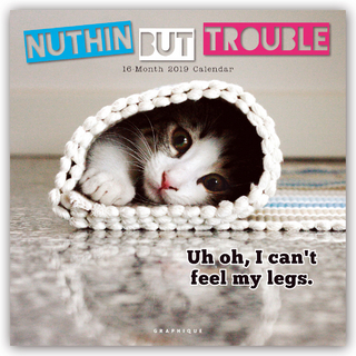 NUTHIN BUT TROUBLE 2019 MINI CALENDAR