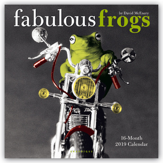 FABULOUS FROGS 2019 SQUARE WALL CALENDAR
