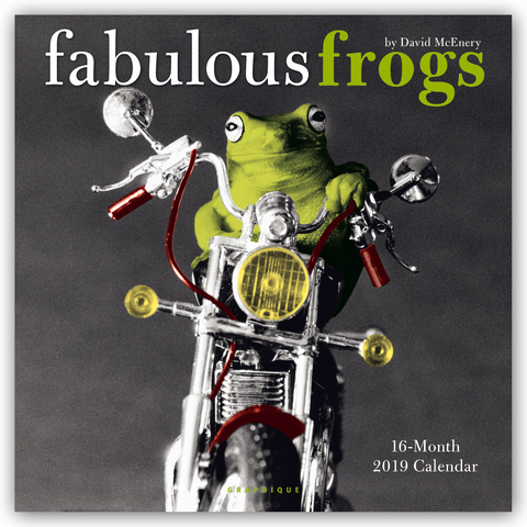 FABULOUS FROGS 2019 SQUARE WALL CALENDAR -  Graphique