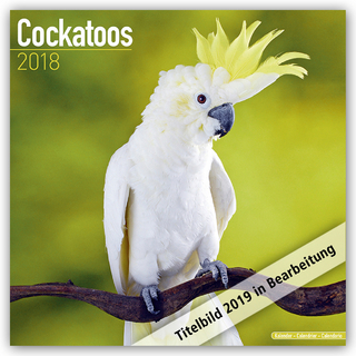 Cockatoos Calendar 2019