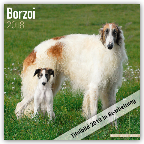 Borzoi Calendar 2019 -  Avonside Publishing Ltd