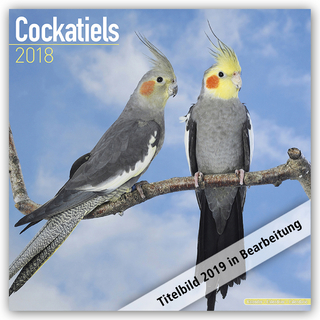 Cockatiels Calendar 2019
