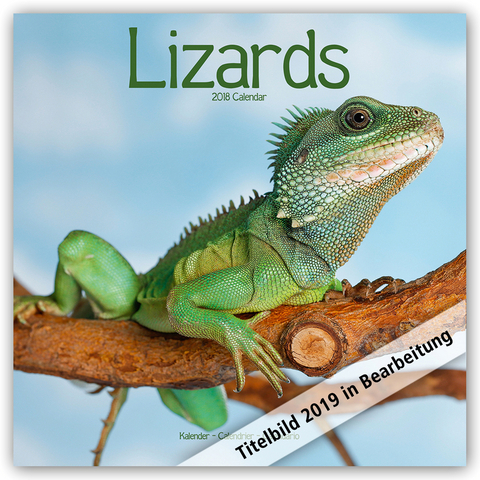 Lizards Calendar 2019 -  Avonside Publishing Ltd