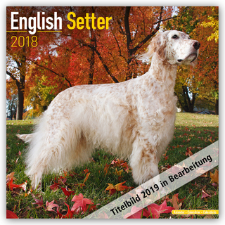 English Setter Calendar 2019