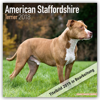 American Staffordshire Terrier Calendar 2019