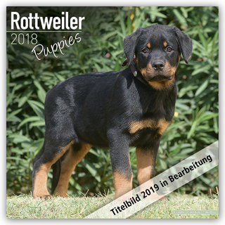 Rottweiler Puppies Calendar 2019