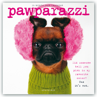 PAWPARAZZI 2019 SQUARE WALL CALENDAR