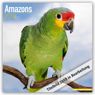 Amazons Calendar 2019