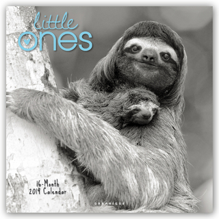 LITTLE ONES 2019 SQUARE WALL CALENDAR