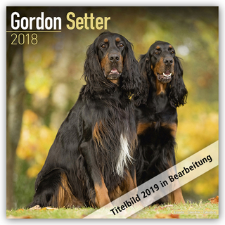 Gordon Setter Calendar 2019