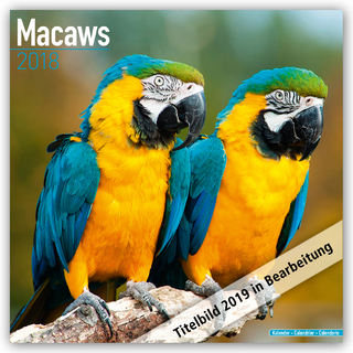 Macaws Calendar 2019