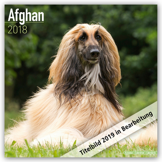 Afghan Calendar 2019