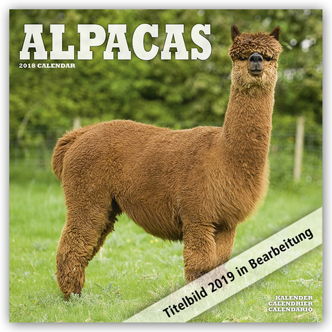 Alpacas Calendar 2019 -  Avonside Publishing Ltd