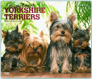 Yorkshire Terriers - For the Love of - Yorkies 2019 - 18-Monatskalender mit freier DogDays-App