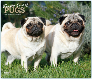 Pugs - For the Love of - Möpse 2019 - 18-Monatskalender mit freier DogDays-App