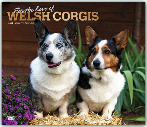 Welsh Corgis - For the love of 2019 - 18-Monatskalender mit freier DogDays-App