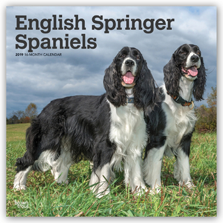 English Springer Spaniels 2019 - 18-Monatskalender mit freier DogDays-App