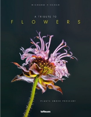 A Tribute to FLOWERS, Hardcover version