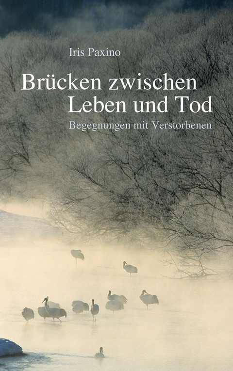 Br&uuml;cken zwischen Leben und Tod - Iris Paxino
