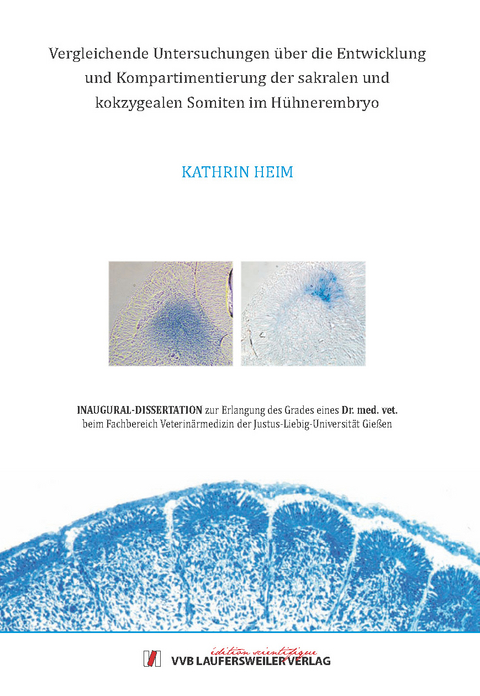 Vergleichende Untersuchungen &uuml;ber die Entwicklung und Kompartimentierung der sakralen und kokzygealen Somiten im H&uuml;hnerembryo - Kathrin Heim