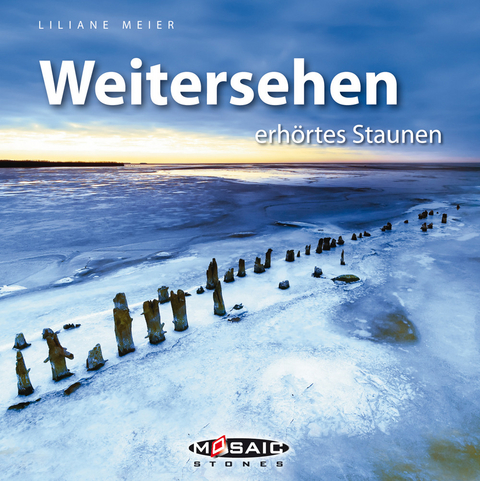 Weitersehen - Liliane Meier