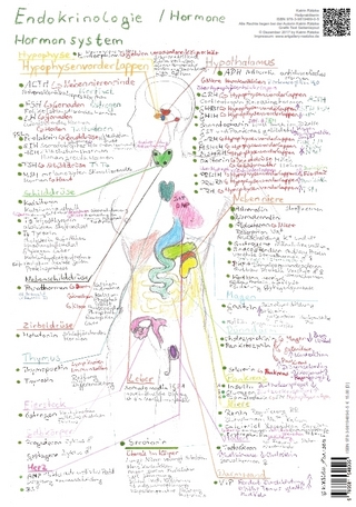 Endokrinologie Hormonsystem - A3